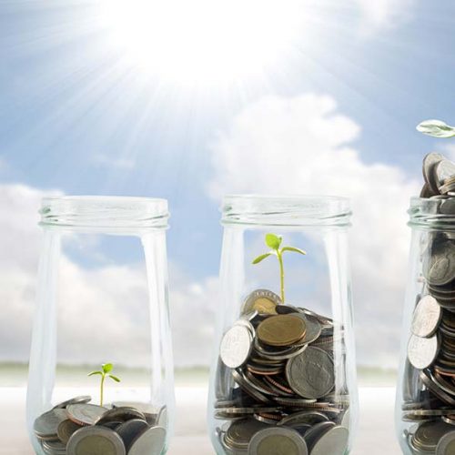 Small Business Growth