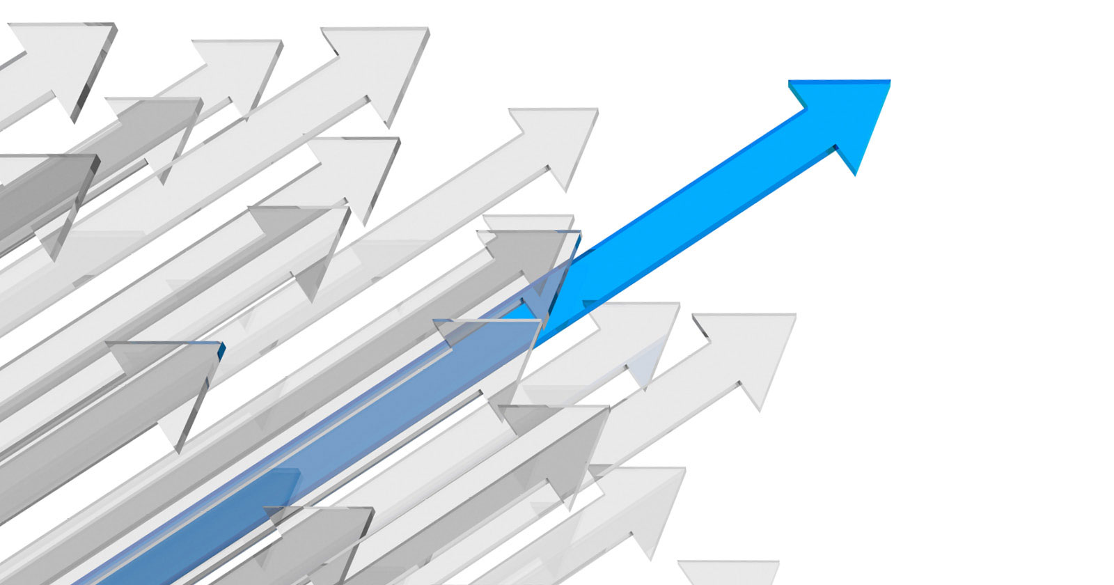 sustained growth small business